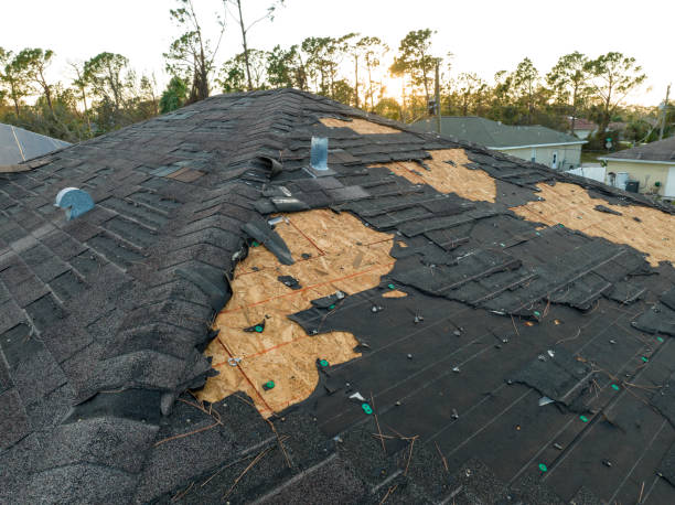Best Asphalt Shingles Roofing  in Greilickville, MI