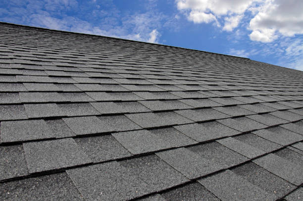 Best Roof Maintenance and Cleaning  in Greilickville, MI
